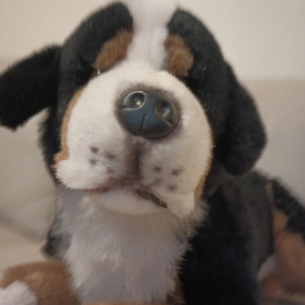 Vintage E & J  Classic Collection Bernese Mountain Dog Stuffed Plush M/L - Picture 3 of 16